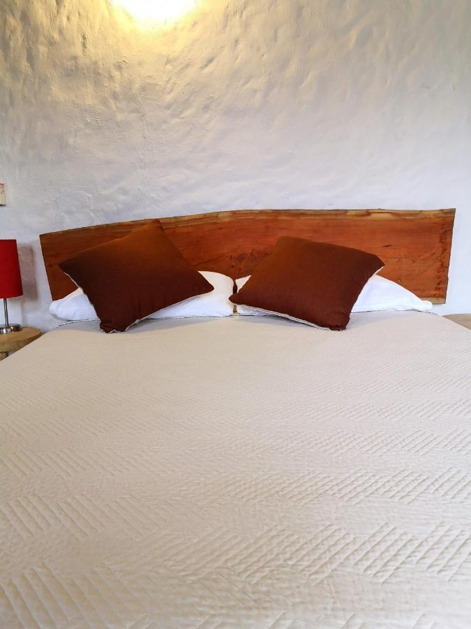 Hotel Mulato 엘 콜레히오 외부 사진